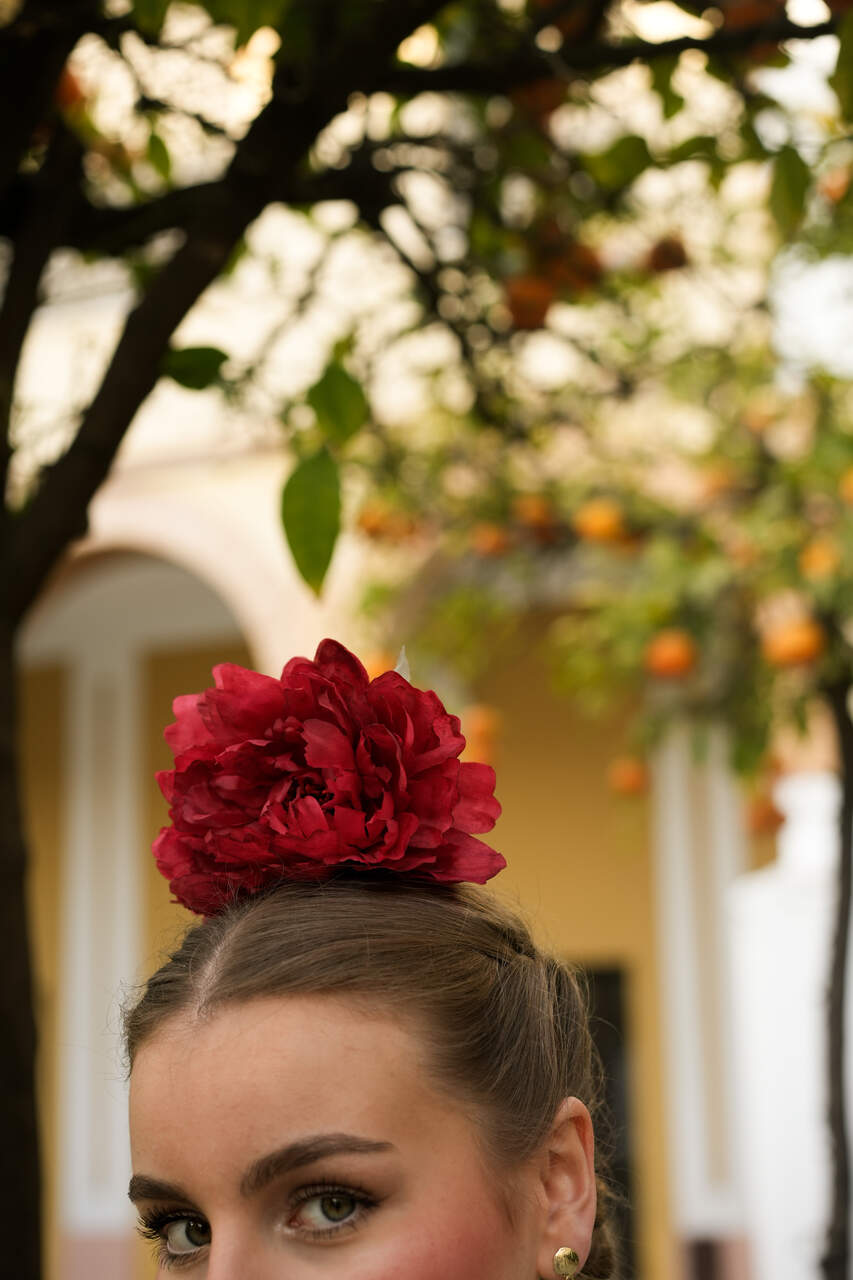 FLORES FLAMENCA
