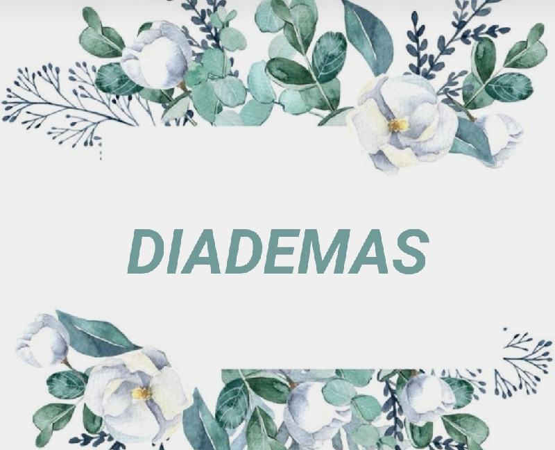 DIADEMAS INVITADAS