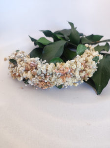PANICULATA Y EUCALIPTO