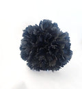 CLAVEL NEGRO