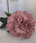 CLAVEL ROSA MAQUILLAJE