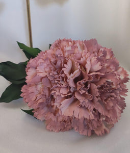 CLAVEL ROSA MAQUILLAJE