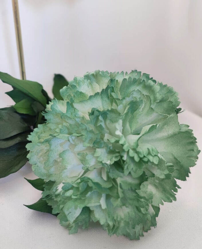 CLAVEL VERDE MENTA