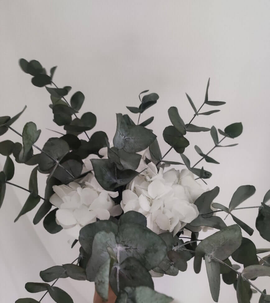 RAMO  HORTENSIAS BLANCAS