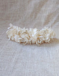 HORTENSIAS IVORY