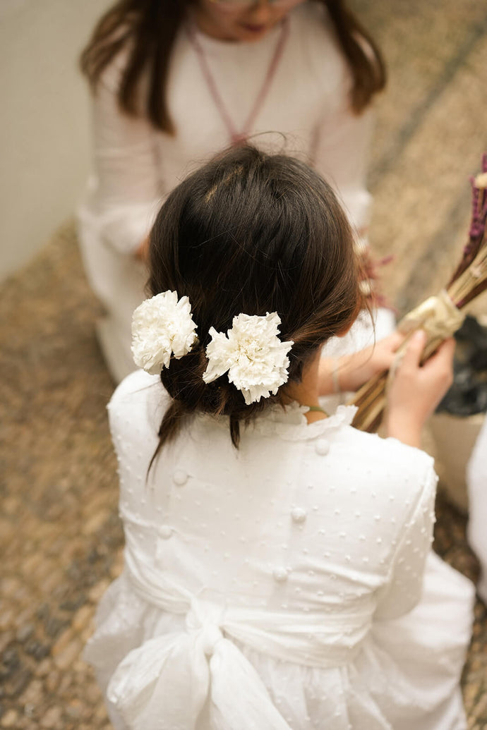 CLAVEL BLANCO PRESERVADO