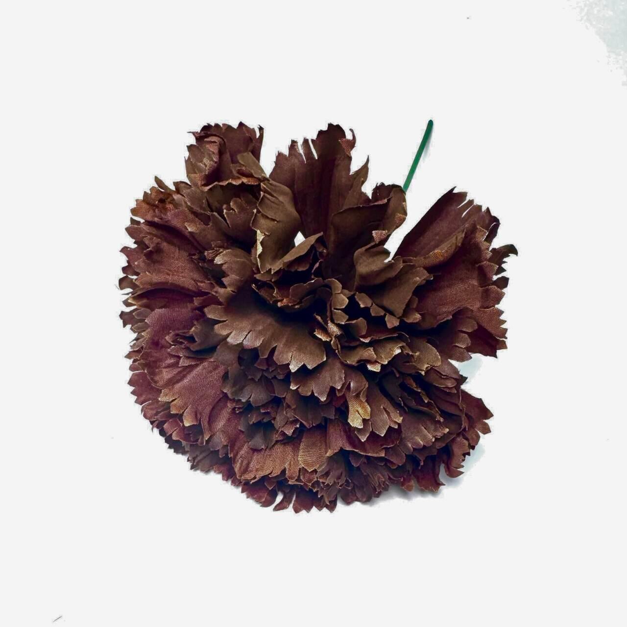 CLAVEL MARRON CHOCOLATE