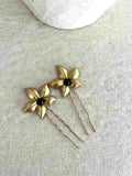DUO DALIA NEGRA
