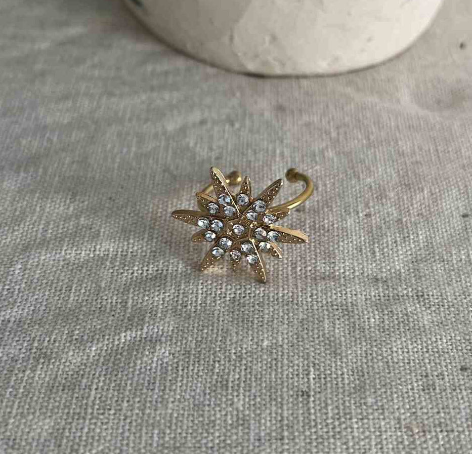 ANILLO BRITHIS