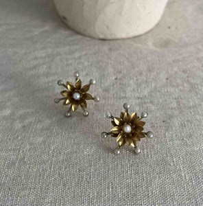 PENDIENTES SELEAD