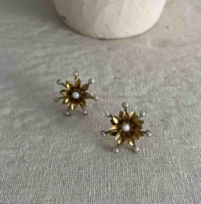 PENDIENTES SELEAD