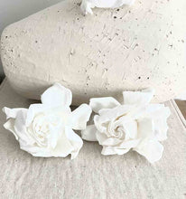 Cargar imagen en el visor de la galería, GARDENIAS BLANCAS
