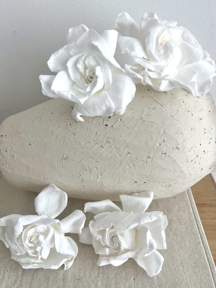 GARDENIAS BLANCAS