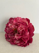 Cargar imagen en el visor de la galería, PEONIA FRESA
