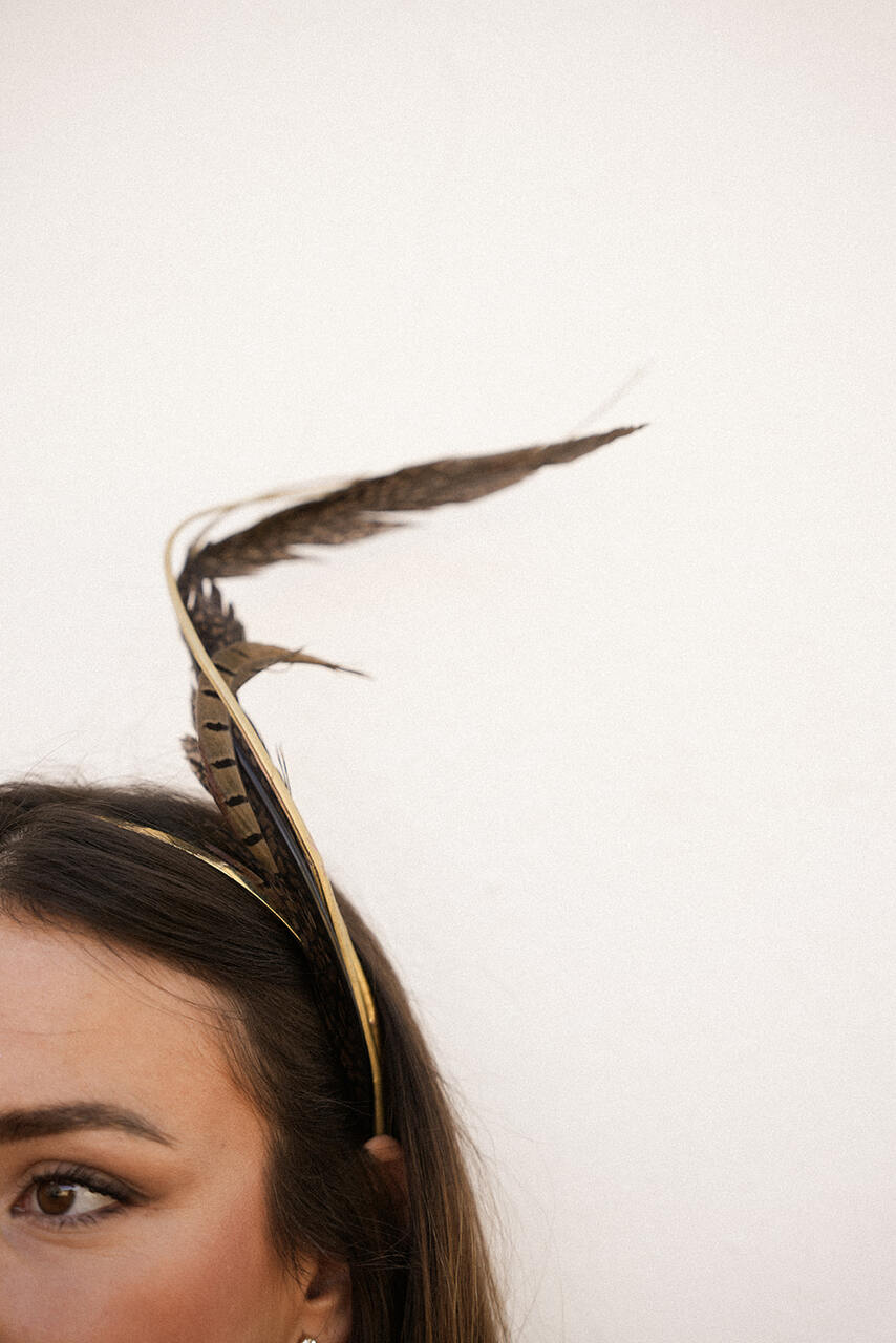 DIADEMA FAISAN