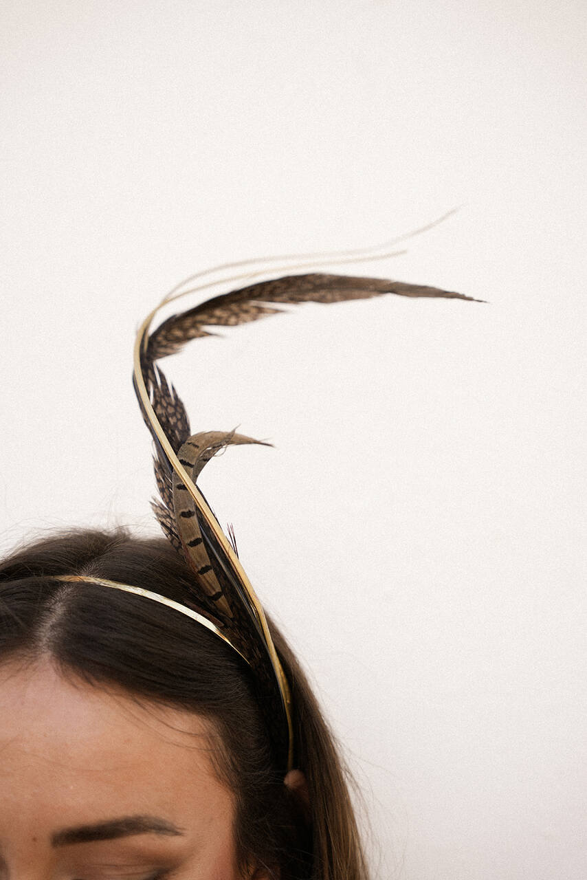 DIADEMA FAISAN