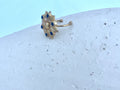 ANILLO ZAFIRO