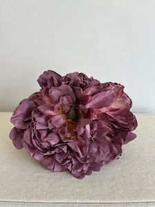 PEONIA ROSA VIEJO
