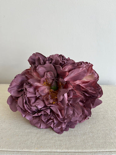 PEONIA ROSA VIEJO