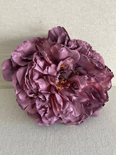 Cargar imagen en el visor de la galería, PEONIA ROSA VIEJO VILACEO
