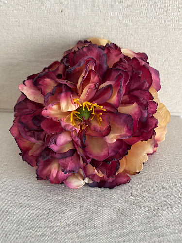 PEONIA BERENGENA COMBI
