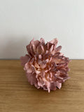 PEONIA MIN ROSA VIEJO