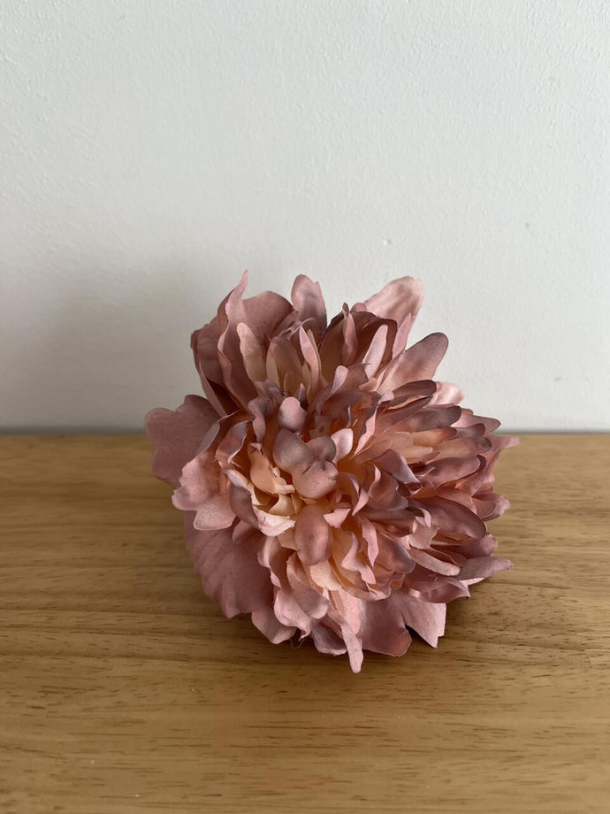 PEONIA MIN ROSA VIEJO