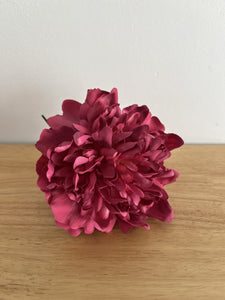PEONIA FRESA MIN