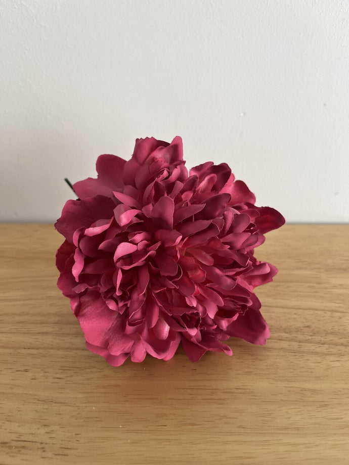 PEONIA FRESA MIN