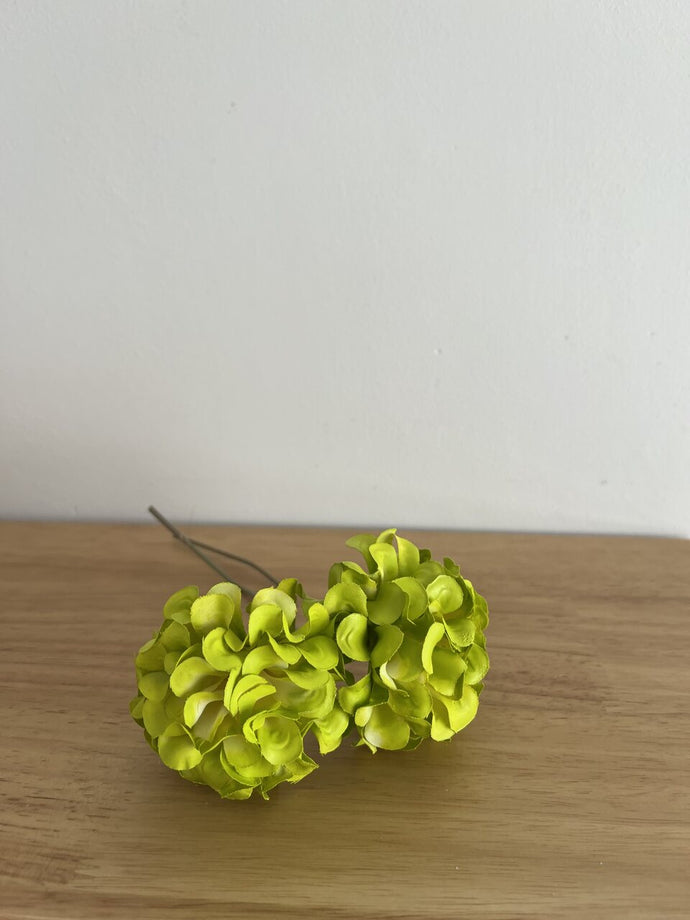 DALIA FLUOR