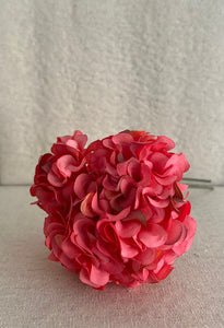 DALIA CORAL