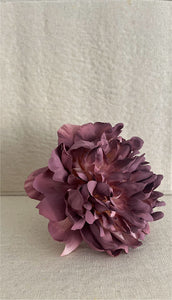 PEINOA MEDIANA ROSA VIEJO