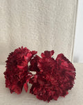 CLAVEL GRANATE