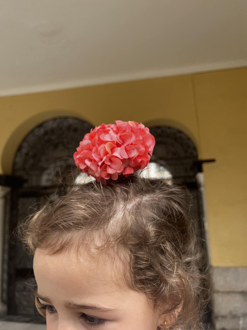 GERANIO CORAL