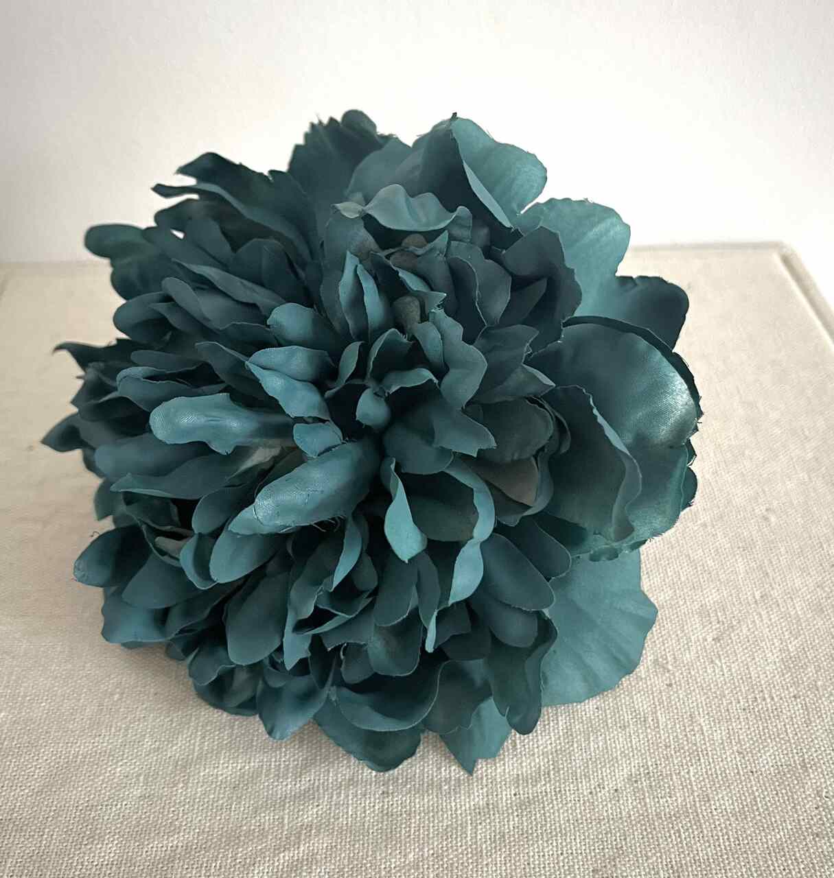 PEONIA MEDIANA TEAL