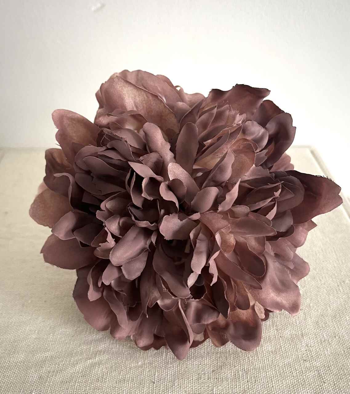 PEONIA MEDIANA MAQUILLAJE DARK
