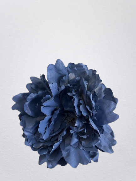 PEONIA AZUL INDIGO