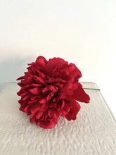 Cargar imagen en el visor de la galería, PEONIA ROJA MEDIANA
