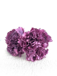 CLAVEL MORADO EMPOLVADO