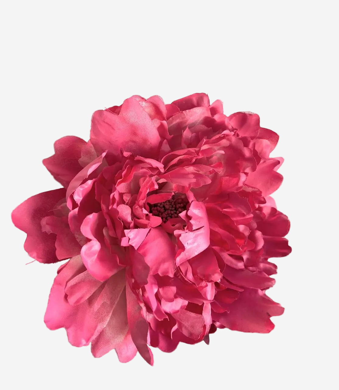 PEONIA FUCSIA ROSARIO