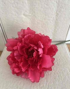 PEONIA ROSA FUCSIA