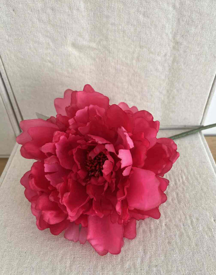 PEONIA ROSA FUCSIA