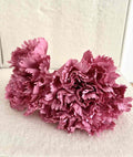 CLAVEL ROSA CHICLE