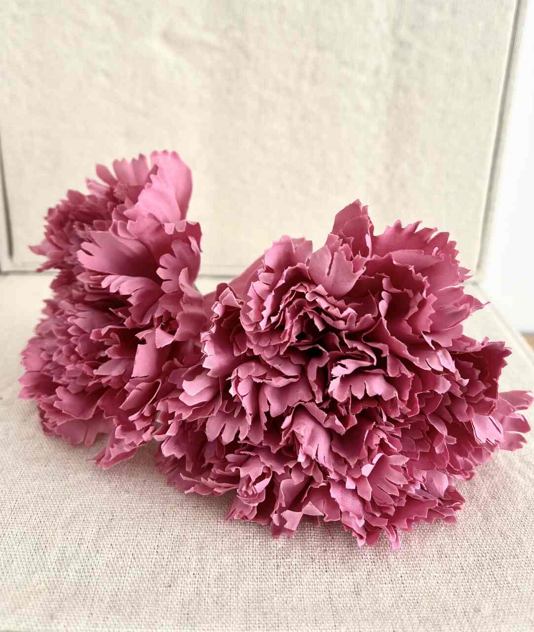 CLAVEL ROSA CHICLE