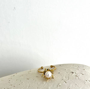 ANILLO CIRCONITA