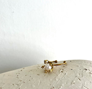 ANILLO CIRCONITA