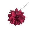 DALIA NIÑA GRANATE