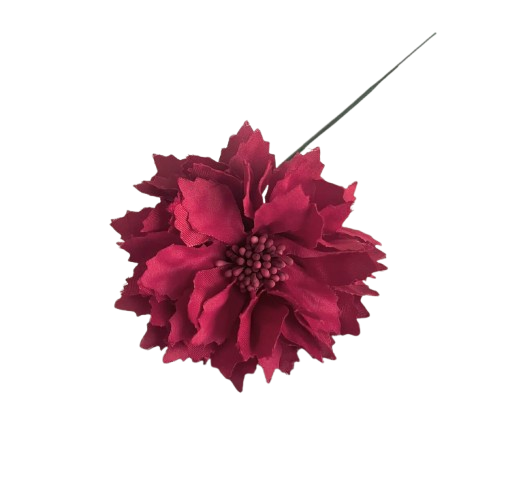 DALIA NIÑA GRANATE