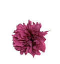 FLOR CRISSANTEMO MAX