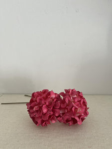 FLOR DALIA FRESA